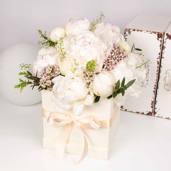 Cutie cu 15 bujori albi