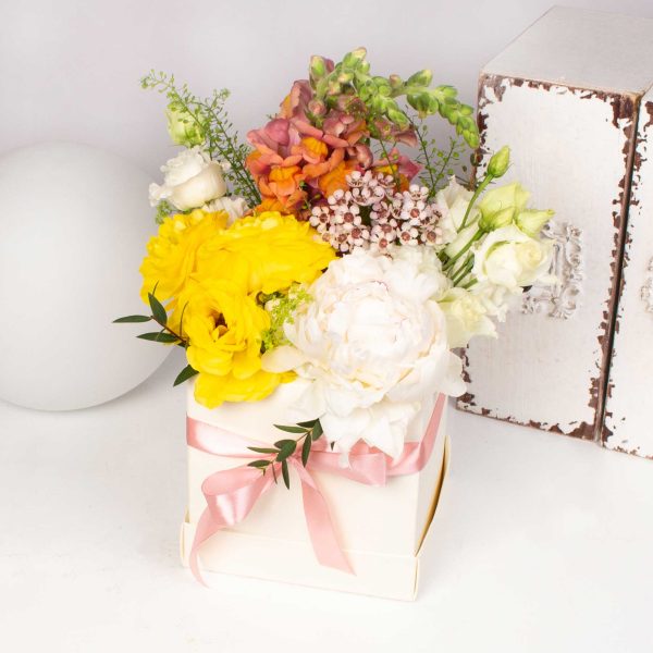 Cutie cu bujori si gura leulu