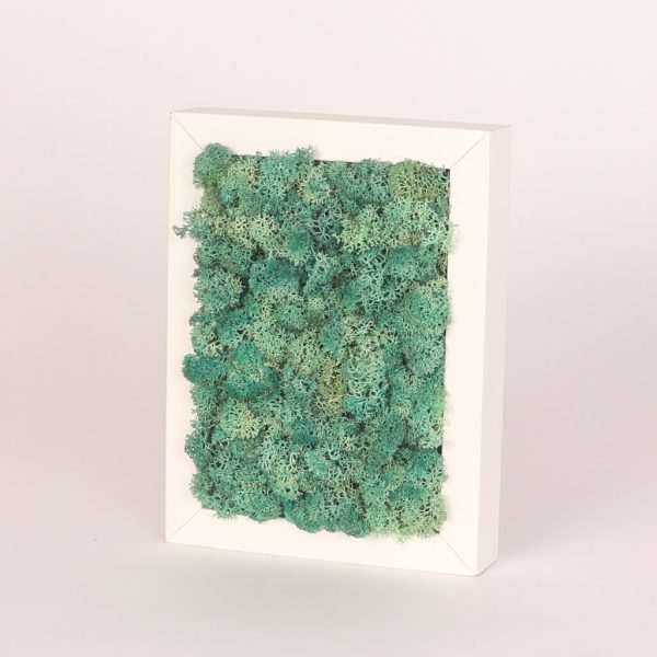 Rama alba dreptunghiulara cu muschi turcoaz conservat