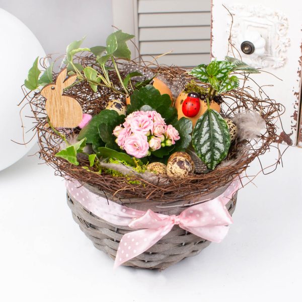 Cos de Paste cu plante