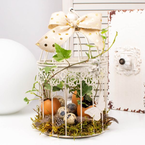 Colivie cu oua si iedera