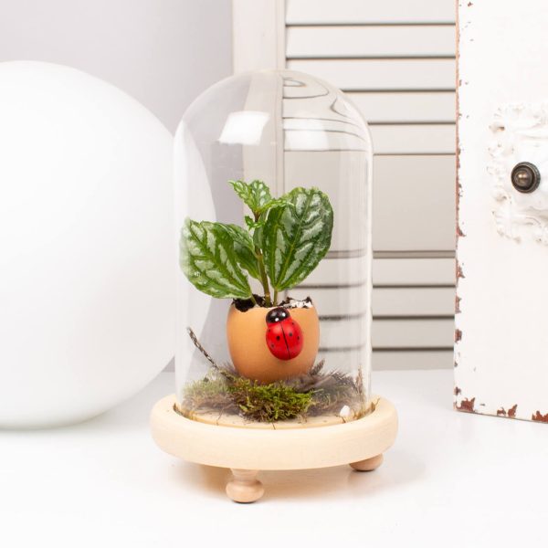 Aranjament de Paste cu gargarita