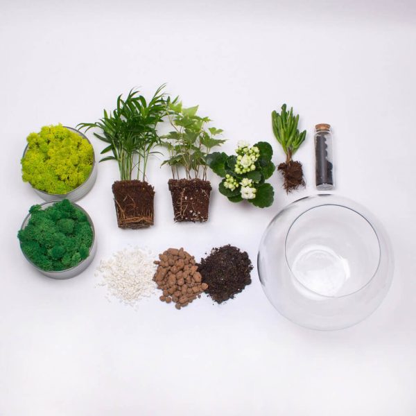 Kit Terariu DIY in bol