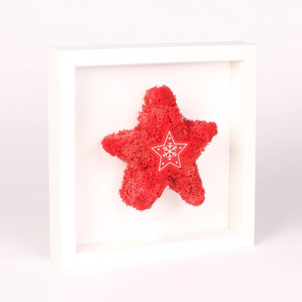 Rama de Craciun cu licheni si stea de lemn