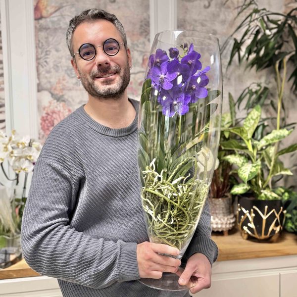Orhidee vanda in vas de sticla